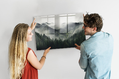 Magnetic photo board Forest landscape