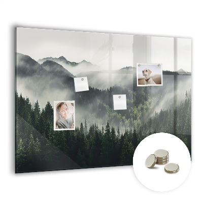 Magnetic photo board Forest landscape