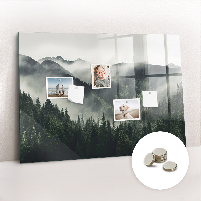 Magnetic photo board Forest landscape