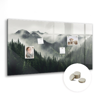 Magnetic photo board Forest landscape