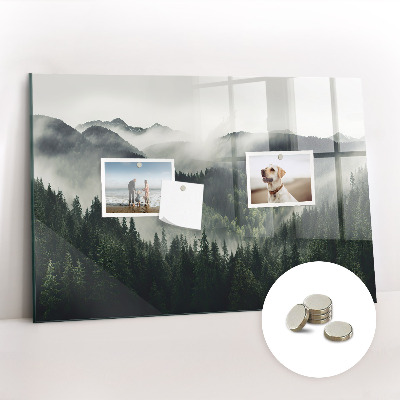 Magnetic photo board Forest landscape