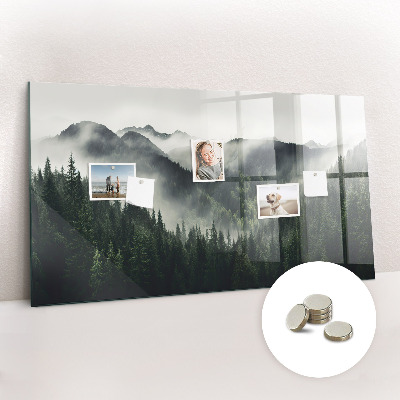 Magnetic photo board Forest landscape