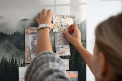 Magnetic photo board Forest landscape