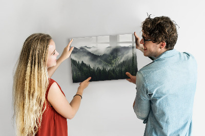 Magnetic photo board Forest landscape