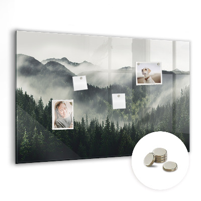 Magnetic photo board Forest landscape