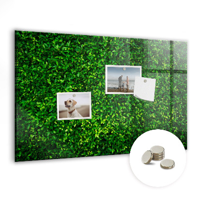 Magnetic photo board Leaf hedge