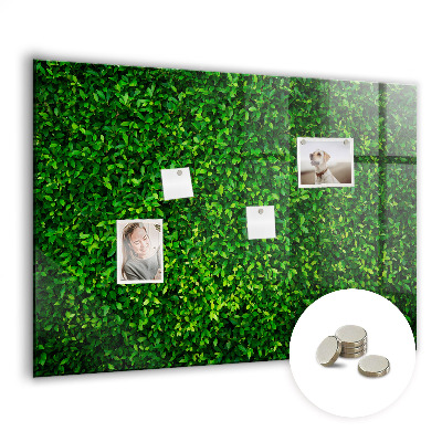 Magnetic photo board Leaf hedge