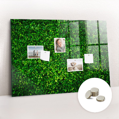 Magnetic photo board Leaf hedge