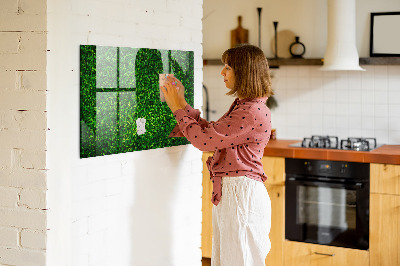 Magnetic photo board Leaf hedge