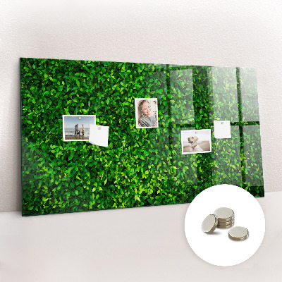 Magnetic photo board Leaf hedge