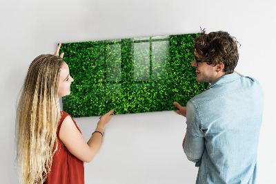Magnetic photo board Leaf hedge