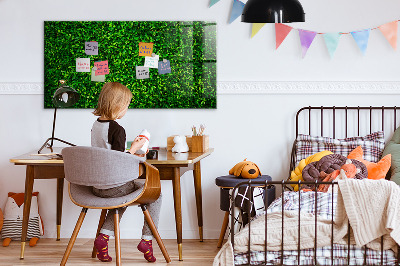 Magnetic photo board Leaf hedge