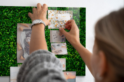 Magnetic photo board Leaf hedge