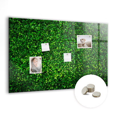 Magnetic photo board Leaf hedge