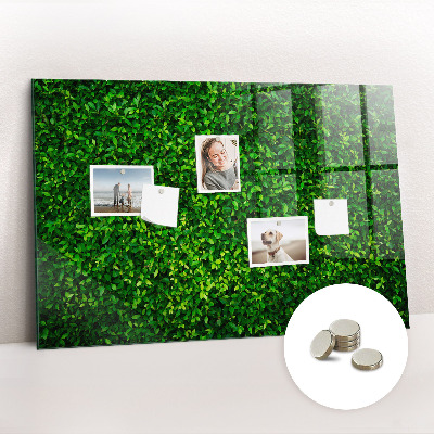 Magnetic photo board Leaf hedge