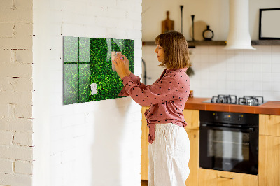 Magnetic photo board Leaf hedge