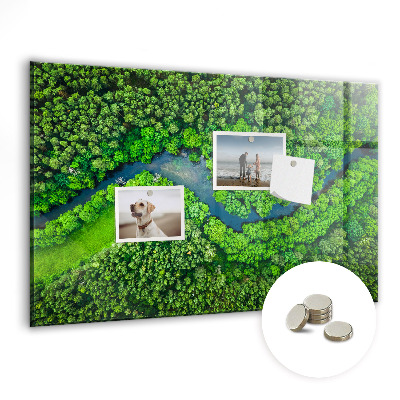 Magnetic photo board River in the forest