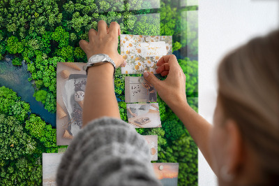 Magnetic photo board River in the forest