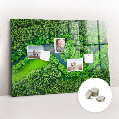 Magnetic photo board River in the forest