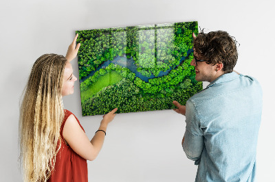 Magnetic photo board River in the forest