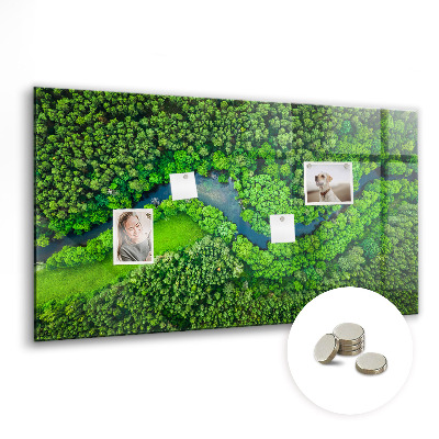 Magnetic photo board River in the forest