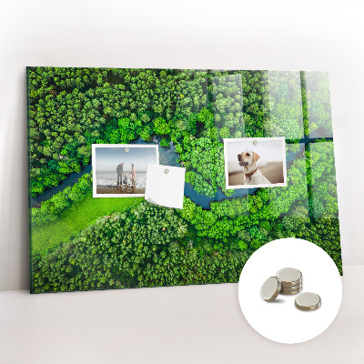 Magnetic photo board River in the forest