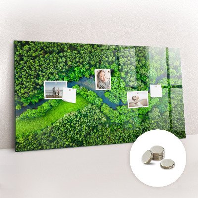 Magnetic photo board River in the forest