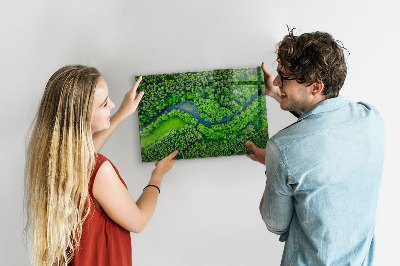 Magnetic photo board River in the forest