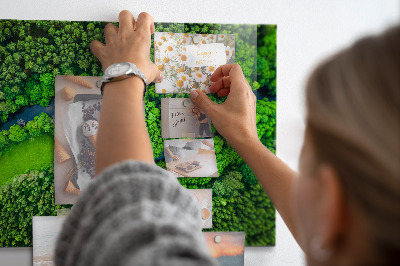 Magnetic photo board River in the forest