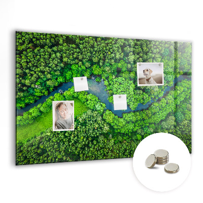 Magnetic photo board River in the forest