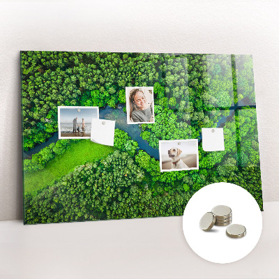 Magnetic photo board River in the forest