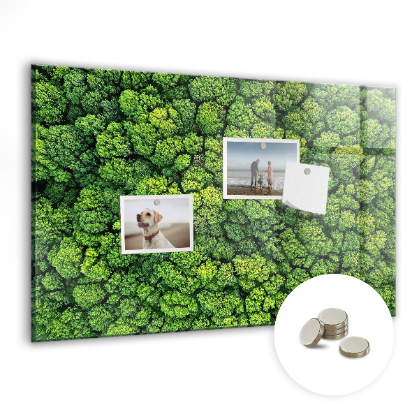 Magnetic photo board Forest view