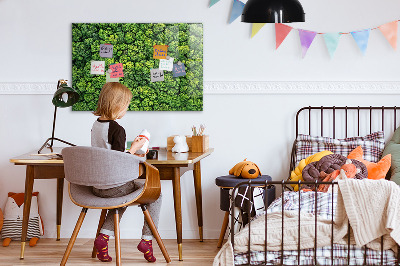 Magnetic photo board Forest view