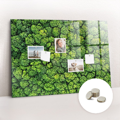 Magnetic photo board Forest view