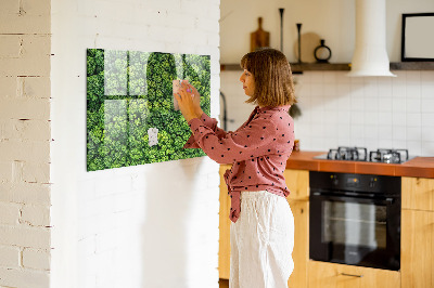 Magnetic photo board Forest view