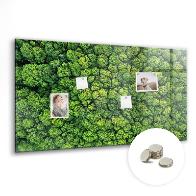 Magnetic photo board Forest view