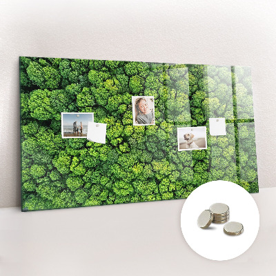 Magnetic photo board Forest view