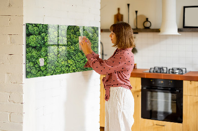 Magnetic photo board Forest view