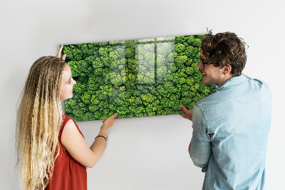 Magnetic photo board Forest view