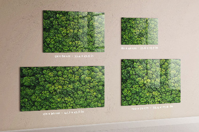 Magnetic photo board Forest view