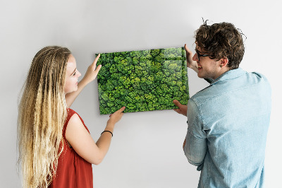 Magnetic photo board Forest view