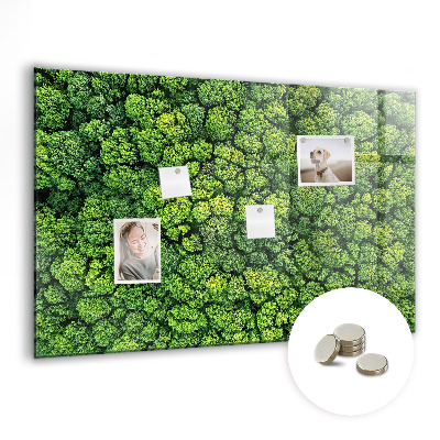 Magnetic photo board Forest view