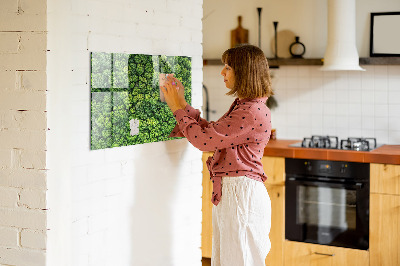 Magnetic photo board Forest view