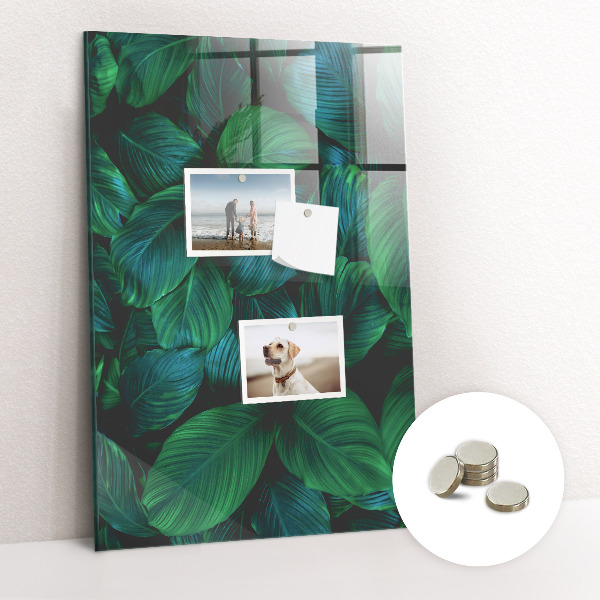 Magnetic board Large tropical leaves