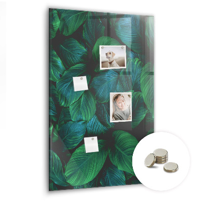 Magnetic board Large tropical leaves