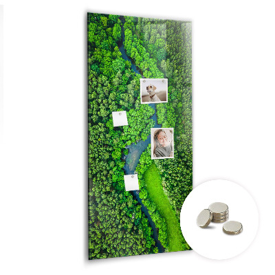 Office magnetic board River in the forest