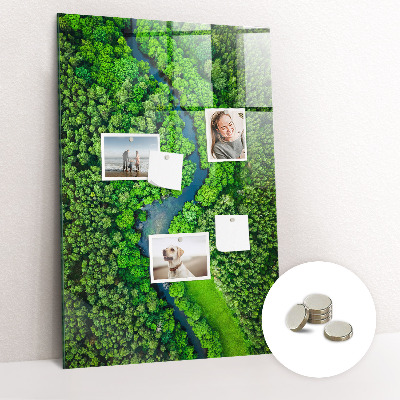 Office magnetic board River in the forest