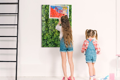 Magnetic memo board Forest tree nature