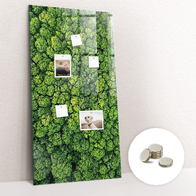 Magnetic memo board Forest tree nature