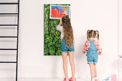 Magnetic memo board Forest tree nature